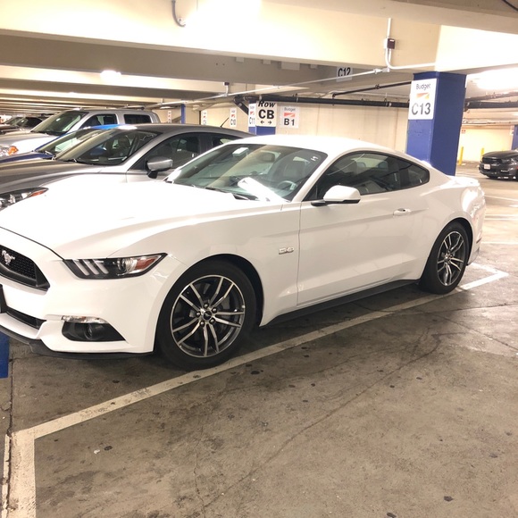 Meet your Posher, Jake - Picture 1 of 1